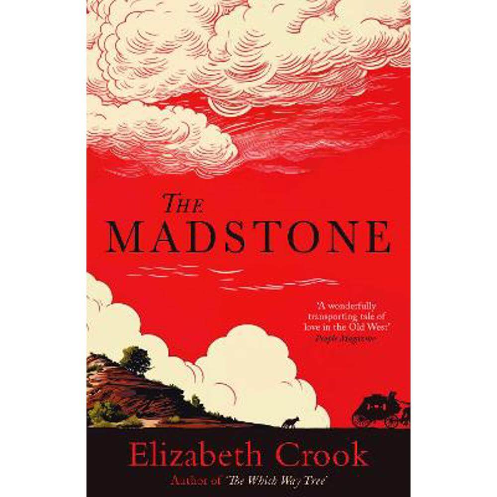 The Madstone (Paperback) - Elizabeth Crook